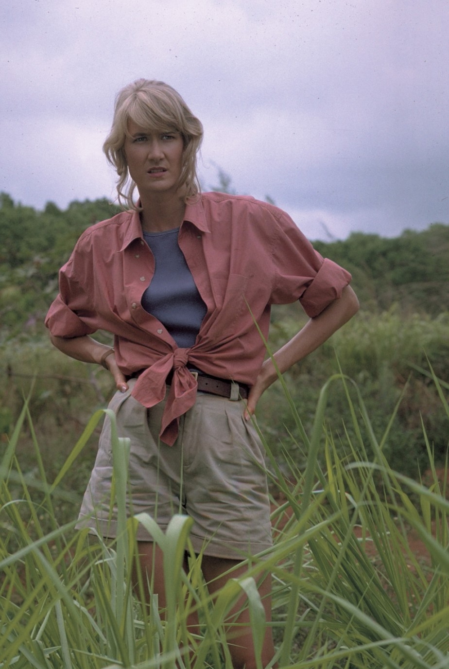 Ellie Sattler in Jurassic Park #movies #film #adventure
